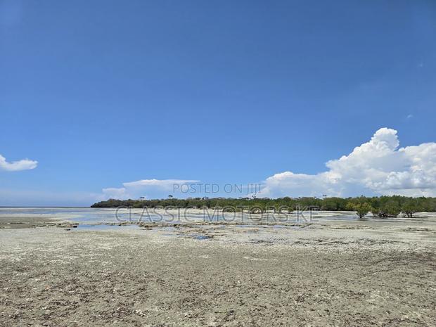 Prime Land for Sale in Msambweni - thumbnail 4
