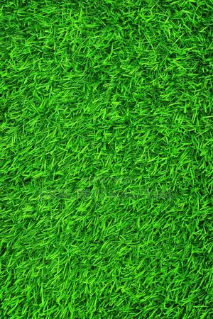 Grass Carpet – Premium Green Look