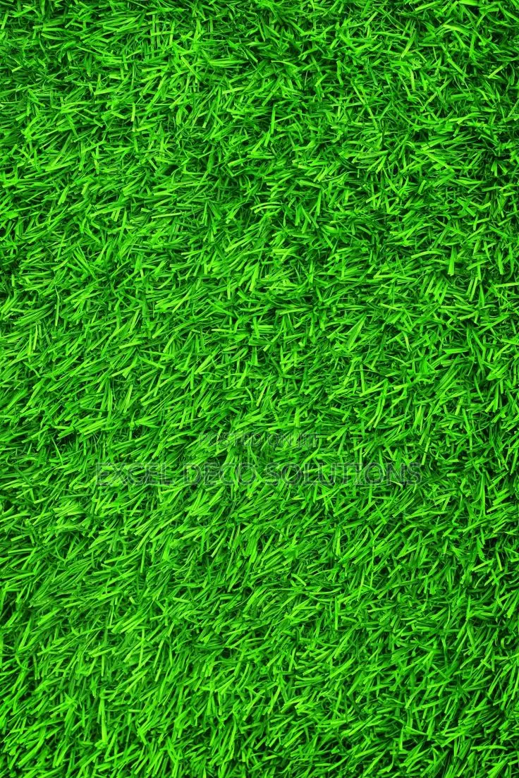 Grass Carpet – Premium Green Look