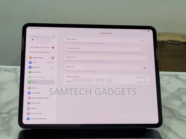 Apple iPad Pro 13 (2025) 256 GB Gray - thumbnail 6