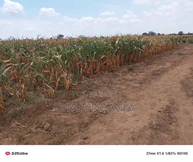 Cheap Land for Sale - thumbnail 4