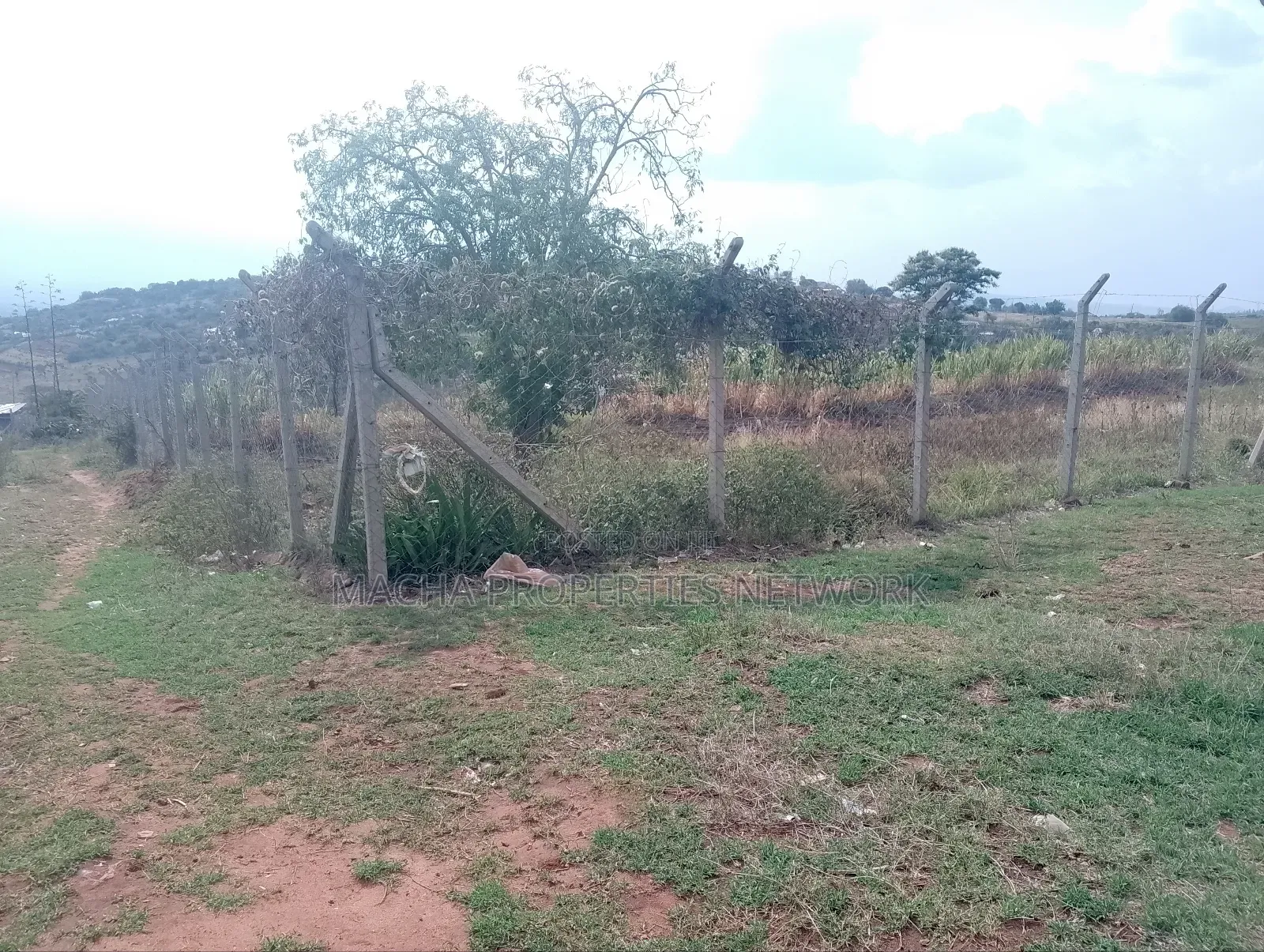 Prime 1 Half Acre Mua Hills.