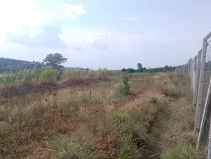 Prime 1 Half Acre Mua Hills.