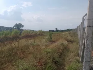 Prime 1 Half Acre Mua Hills.