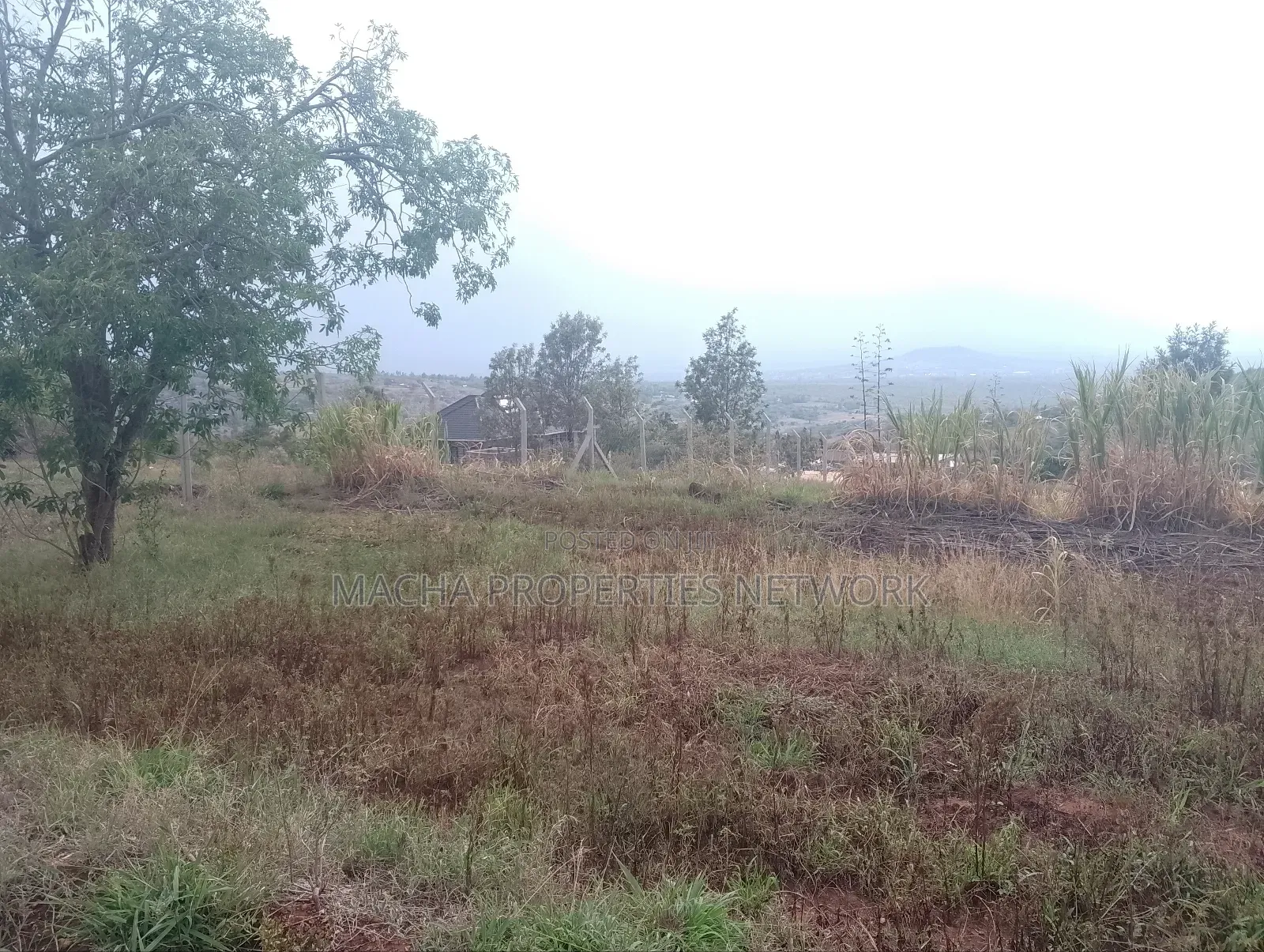 Prime 1 Half Acre Mua Hills.