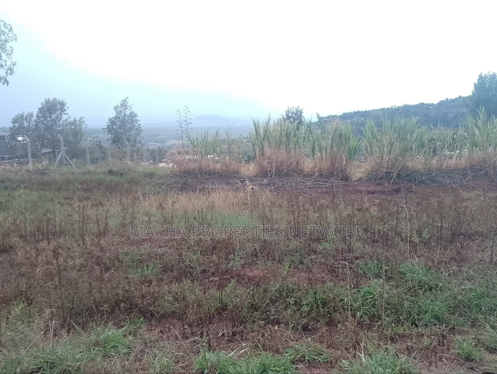 Prime 1 Half Acre Mua Hills.