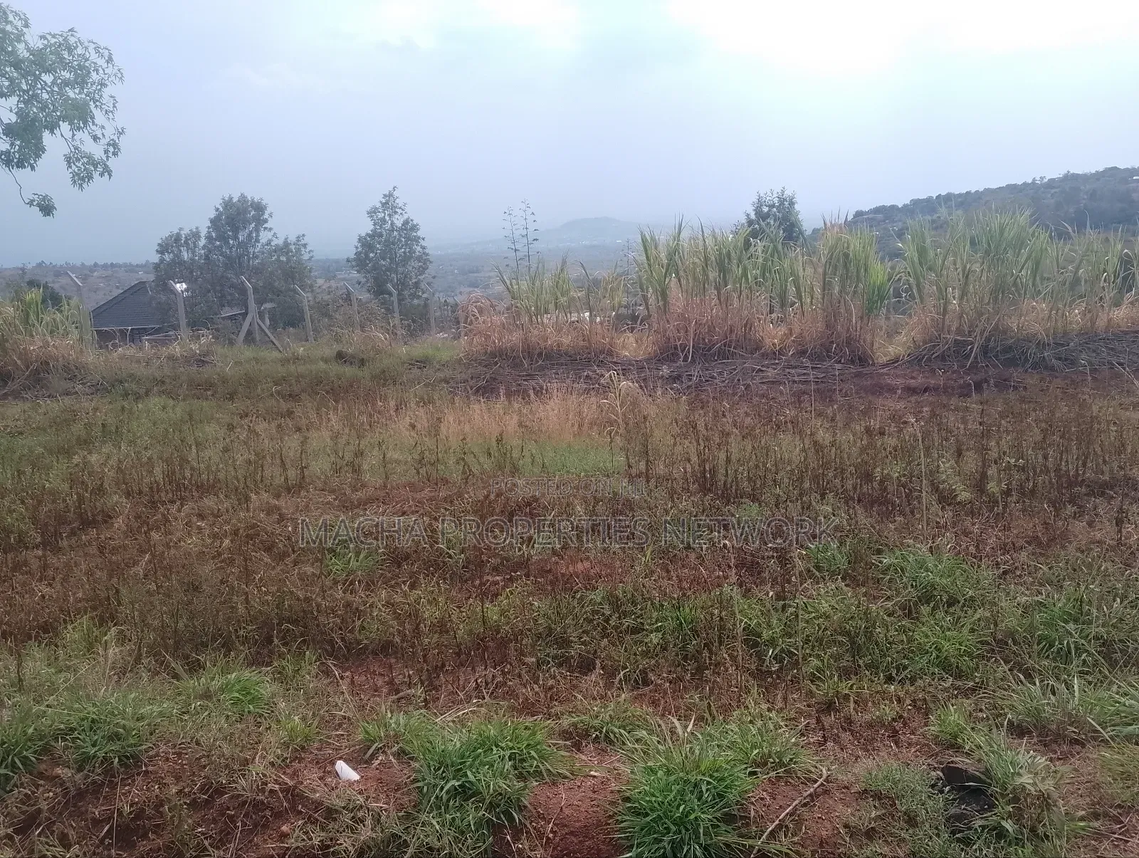 Prime 1 Half Acre Mua Hills.