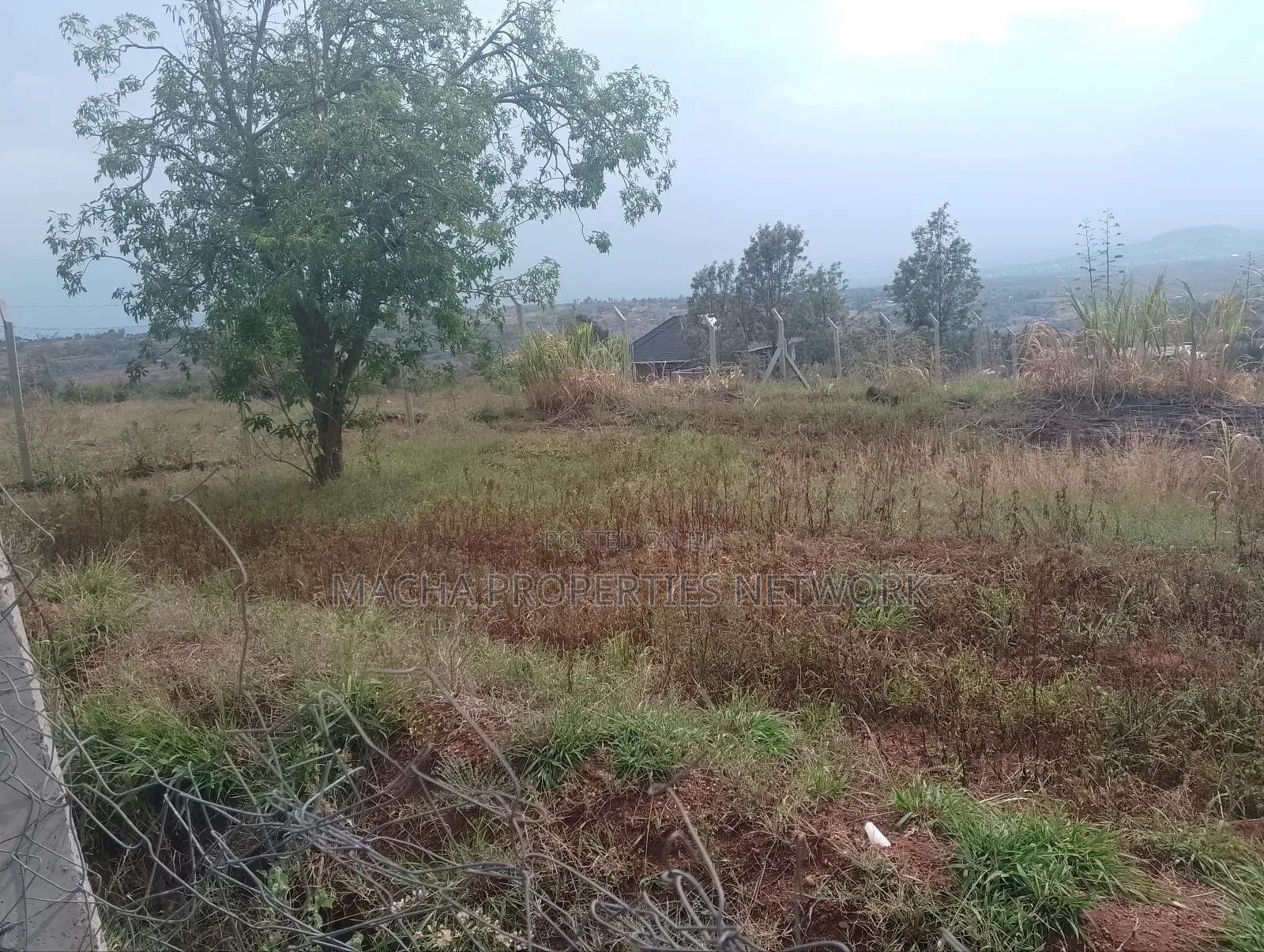 Prime 1 Half Acre Mua Hills.