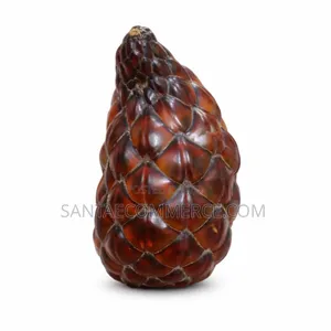 Fresh Lapia Fruit – Exotic Tropical Fruit