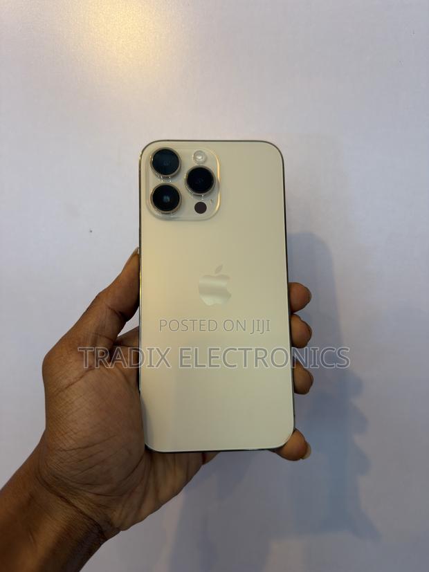 Apple iPhone 14 Pro Max 256 GB Gold - main view