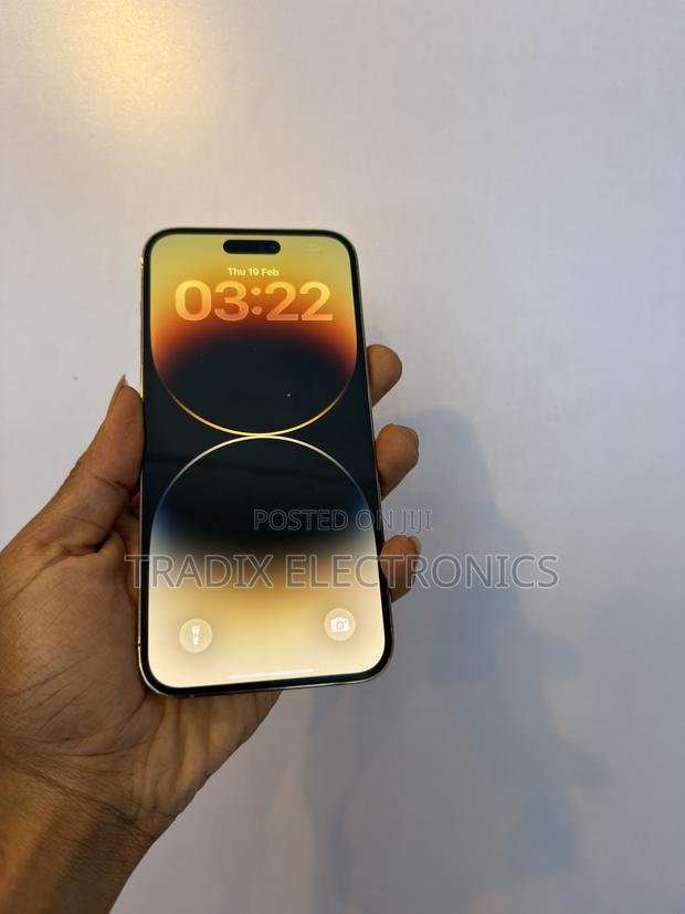 Apple iPhone 14 Pro Max 256 GB Gold - thumbnail 4