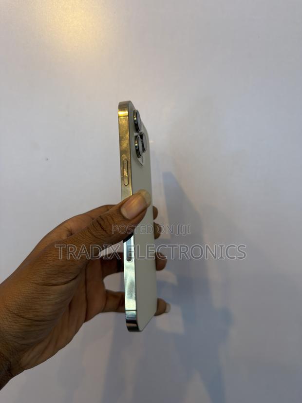 Apple iPhone 14 Pro Max 256 GB Gold - thumbnail 6