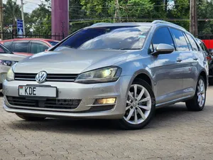 Volkswagen Golf Variant 2014 Silver