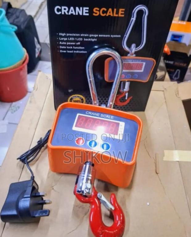500kg Portable Crane Weighing Scale