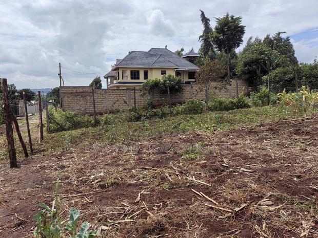 50x100 Plot for Sale in Thamanda Muguga Kikuyu Kiambu County. - thumbnail 6