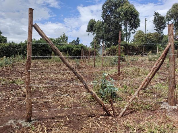 50x100 Plot for Sale in Thamanda Muguga Kikuyu Kiambu County. - thumbnail 7