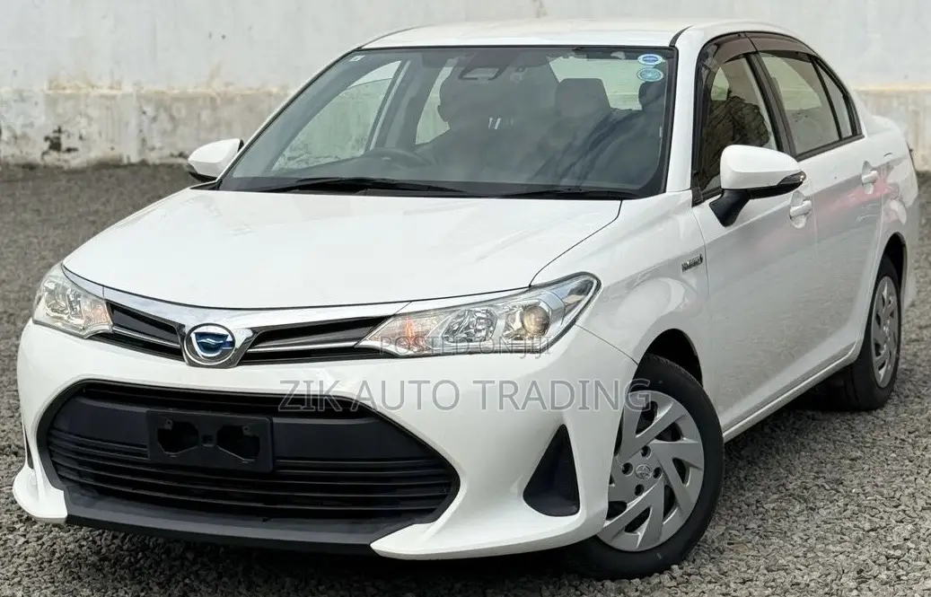 Toyota Axio 2019 White