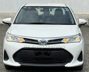 Toyota Axio 2019 White
