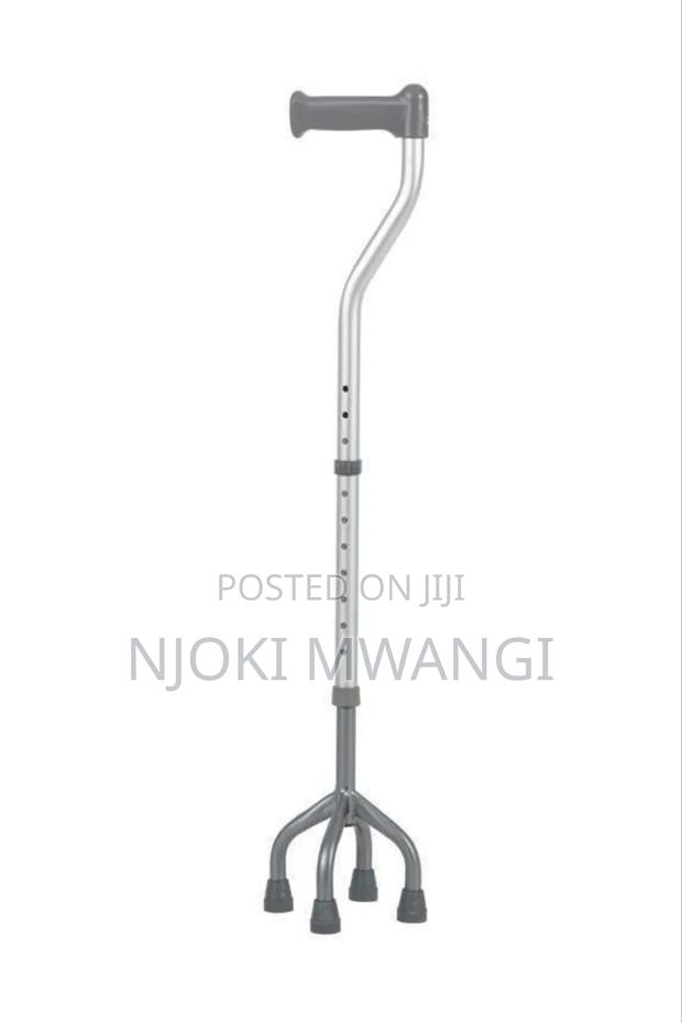 Tripod Walking Stick - main view
