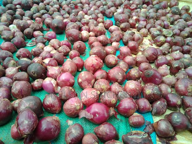 Red Onion for Sell - main view