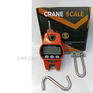 300kgs Crane Scale