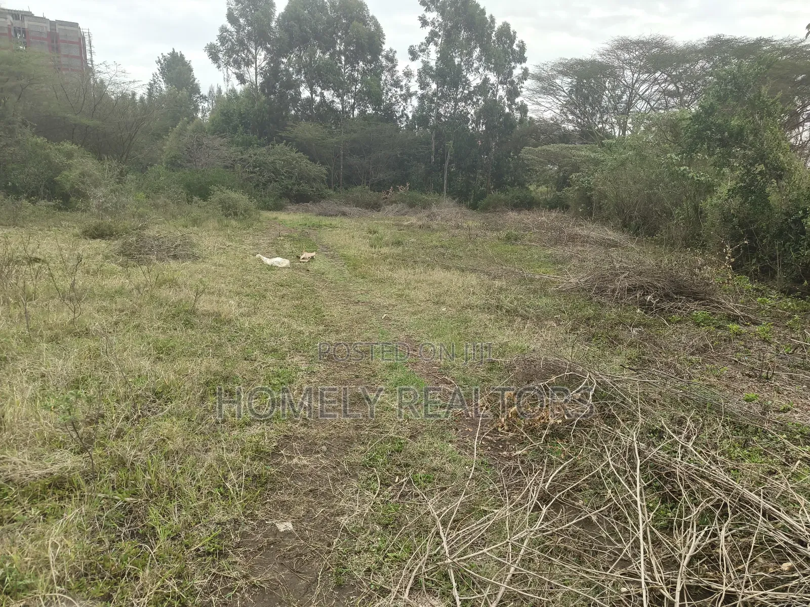 Eighth Acre Plot for Sale in Ongata Rongai, Acacia Area