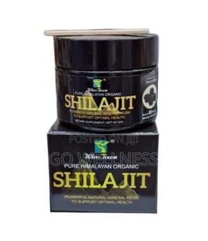 Shilajit Resin - main view