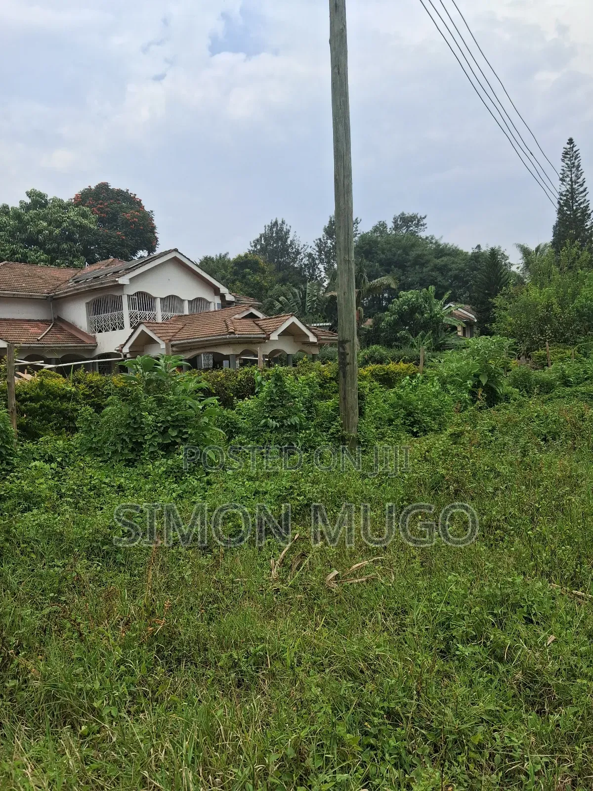 Muthithi Gardens Kiambu Road Prime Secure Serviced 1/2ac With Hedge