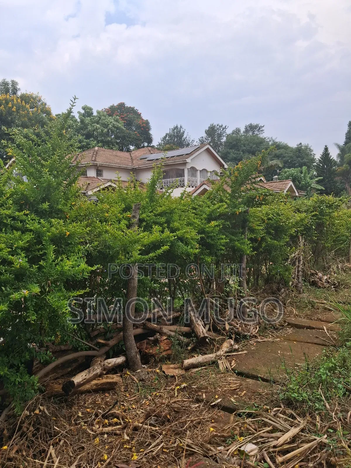 Muthithi Gardens Kiambu Road Prime Secure Serviced 1/2ac With Hedge