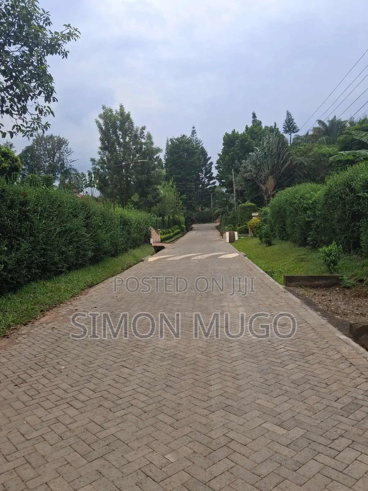 Muthithi Gardens Kiambu Road Prime Secure Serviced 1/2ac With Hedge