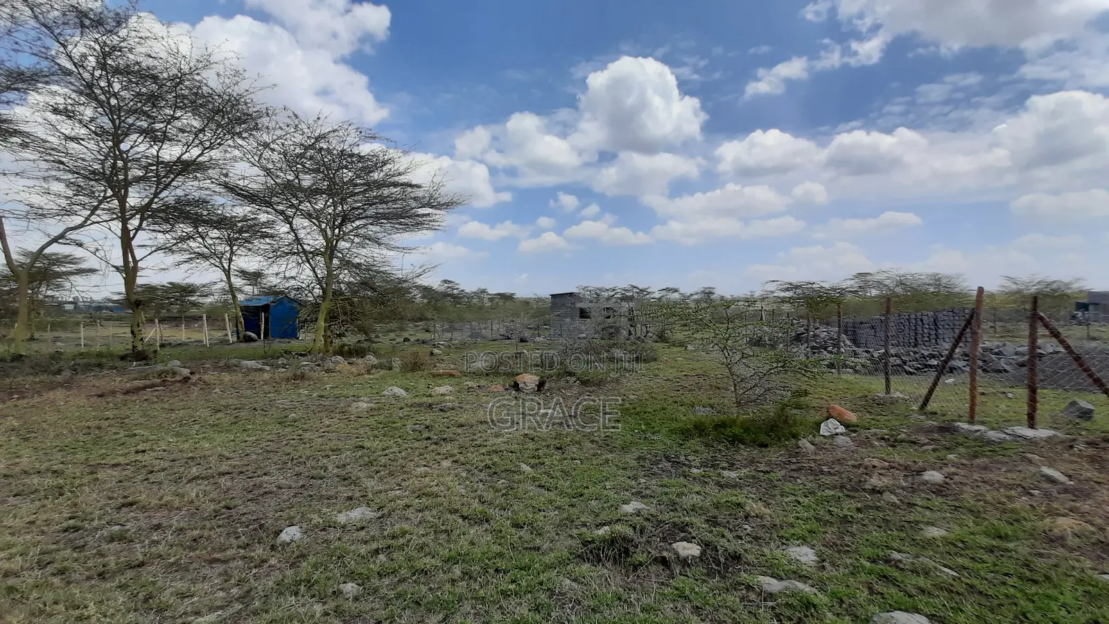 Diaspora Gardens Isinya