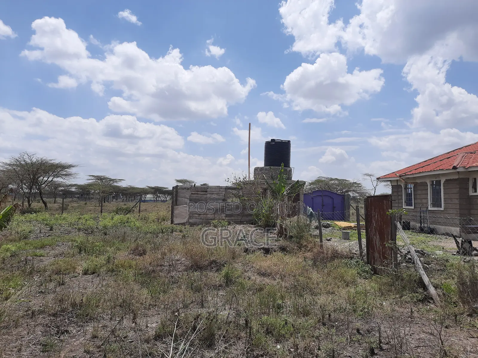 Diaspora Gardens Isinya