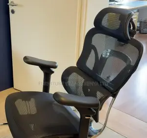 Office Seats| Highback Executive Orthopedic Office Chair
