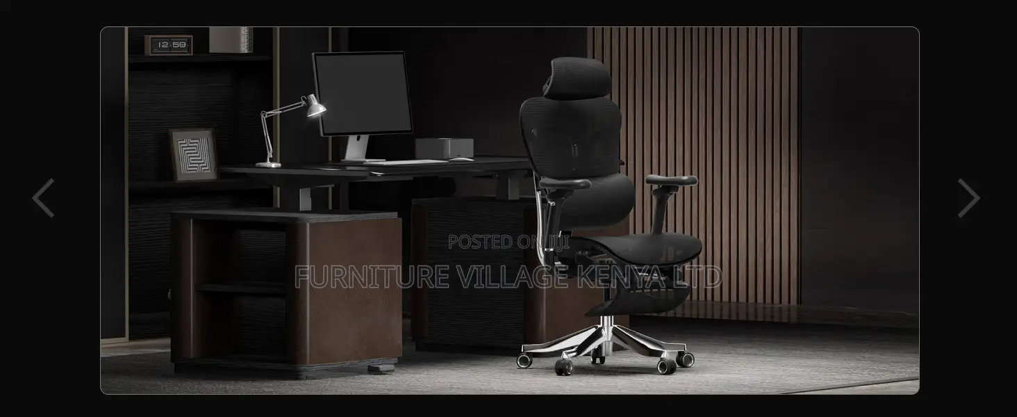 Office Seats| Highback Executive Orthopedic Office Chair
