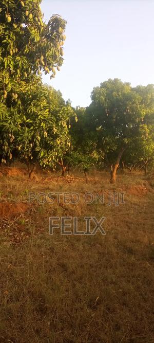 1 Acre On Distress Sale – Makuyu (Mananja) - thumbnail 2