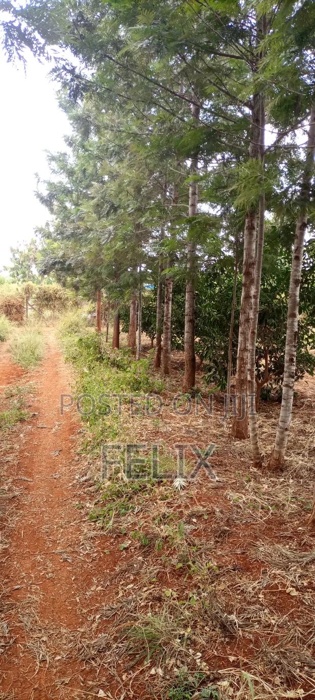 1 Acre On Distress Sale – Makuyu (Mananja) - thumbnail 3