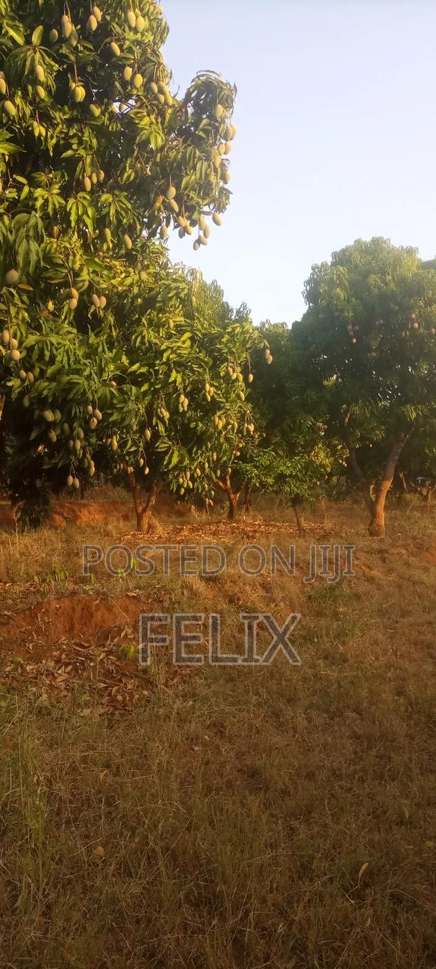 1 Acre On Distress Sale – Makuyu (Mananja) - thumbnail 4