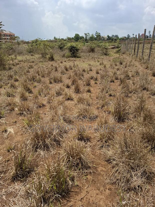 Prime Plot on Sale - main view