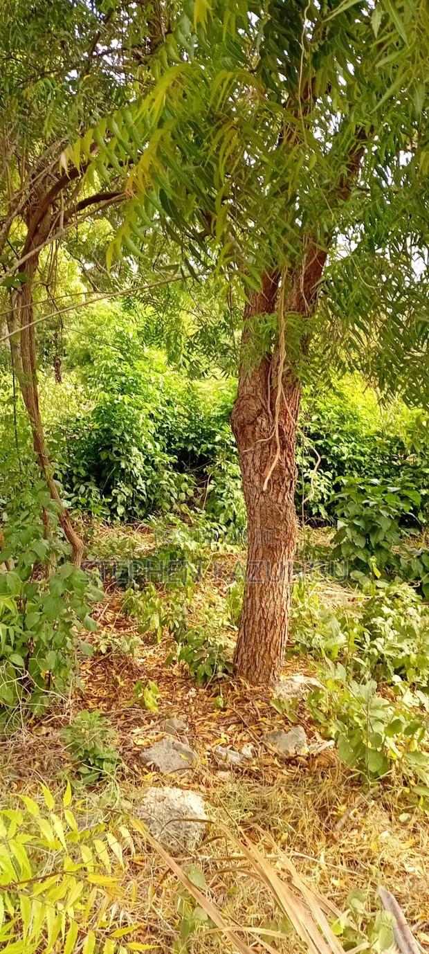 End of 2nd Row 1/2 Acre Plot at Diani Beach Manyata Zone - thumbnail 3