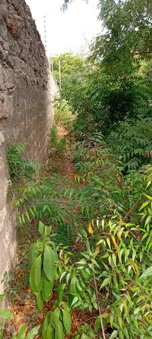 End of 2nd Row 1/2 Acre Plot at Diani Beach Manyata Zone