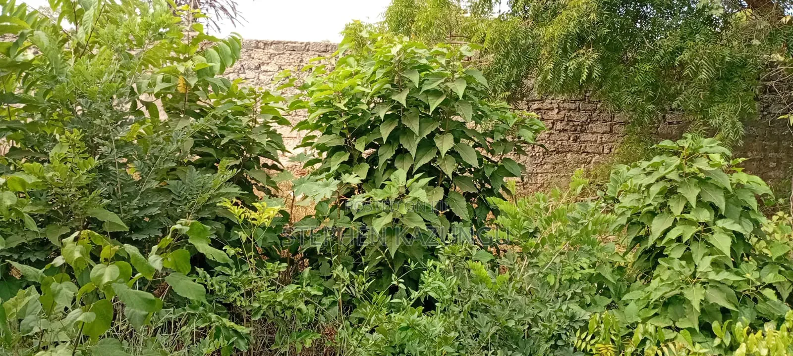 End of 2nd Row 1/2 Acre Plot at Diani Beach Manyata Zone