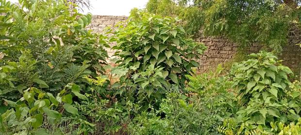 End of 2nd Row 1/2 Acre Plot at Diani Beach Manyata Zone - thumbnail 6