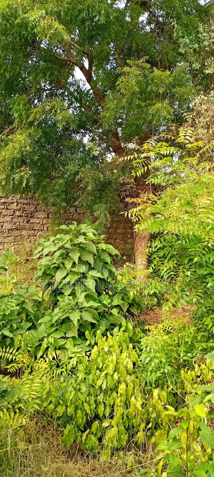 End of 2nd Row 1/2 Acre Plot at Diani Beach Manyata Zone