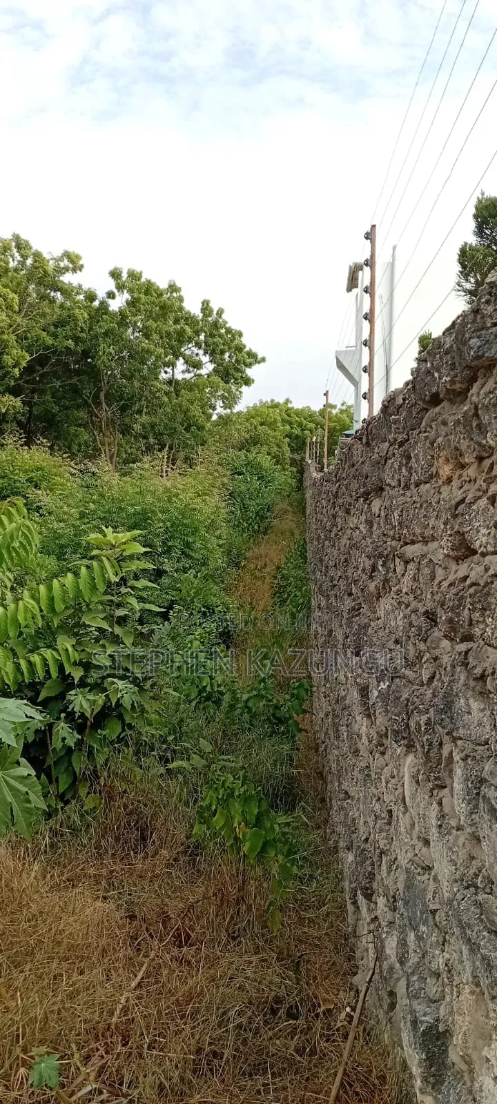 End of 2nd Row 1/2 Acre Plot at Diani Beach Manyata Zone