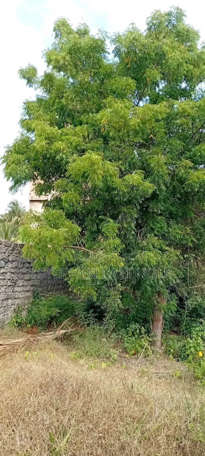 End of 2nd Row 1/2 Acre Plot at Diani Beach Manyata Zone