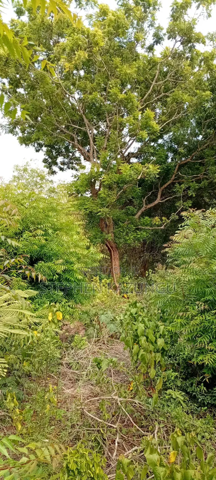 End of 2nd Row 1/2 Acre Plot at Diani Beach Manyata Zone