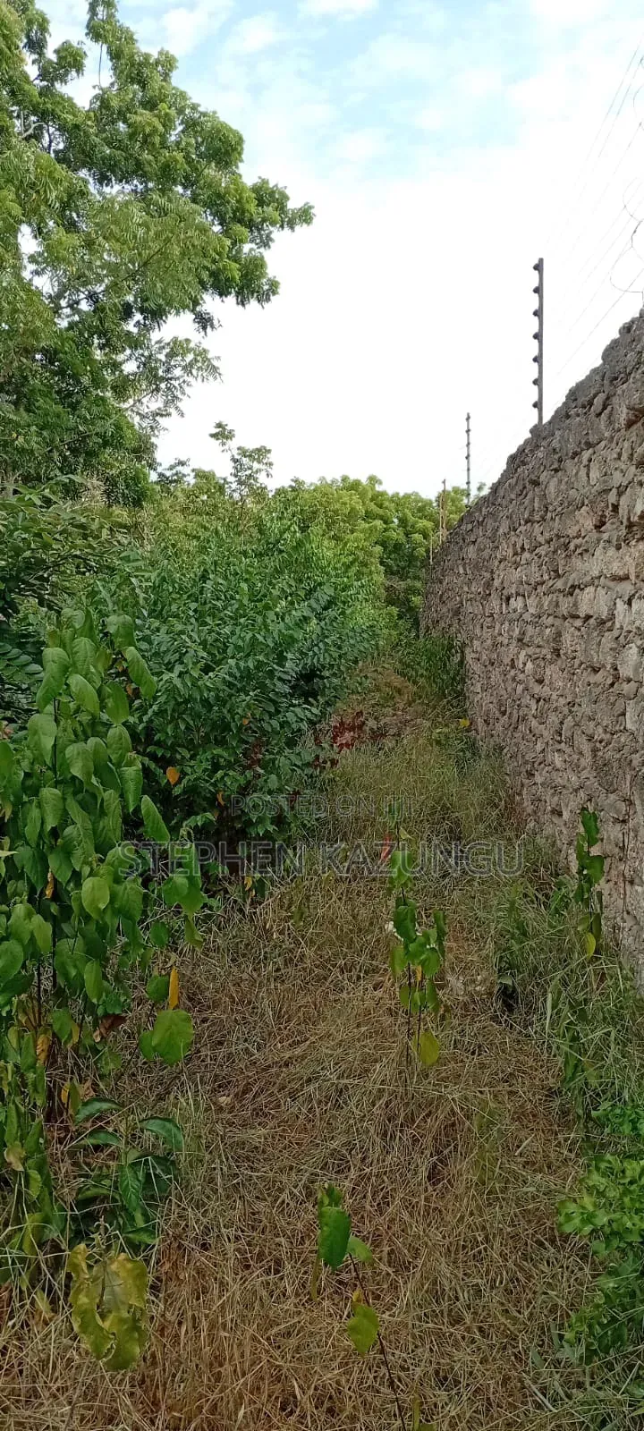 End of 2nd Row 1/2 Acre Plot at Diani Beach Manyata Zone