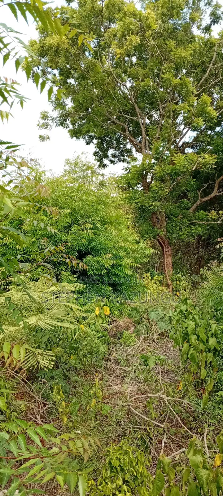 End of 2nd Row 1/2 Acre Plot at Diani Beach Manyata Zone