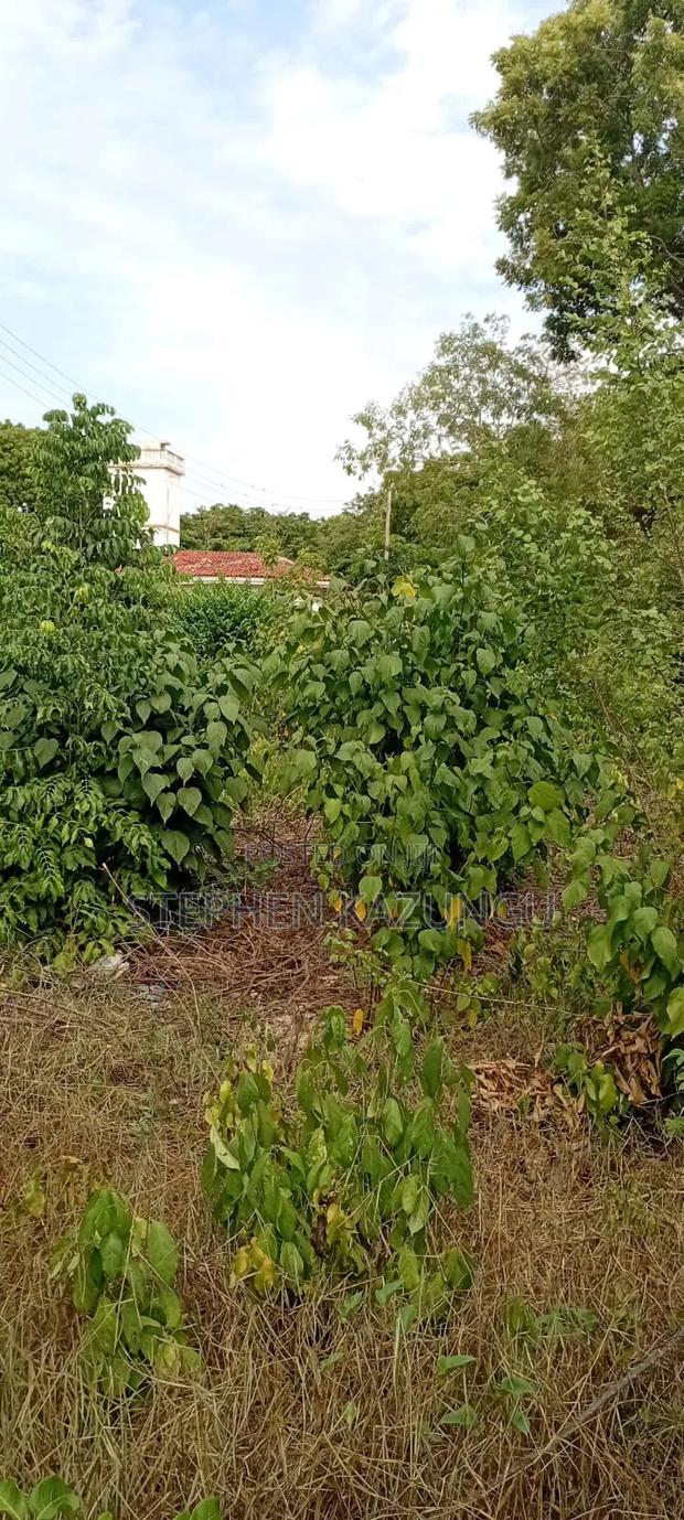 End of 2nd Row 1/2 Acre Plot at Diani Beach Manyata Zone - thumbnail 14