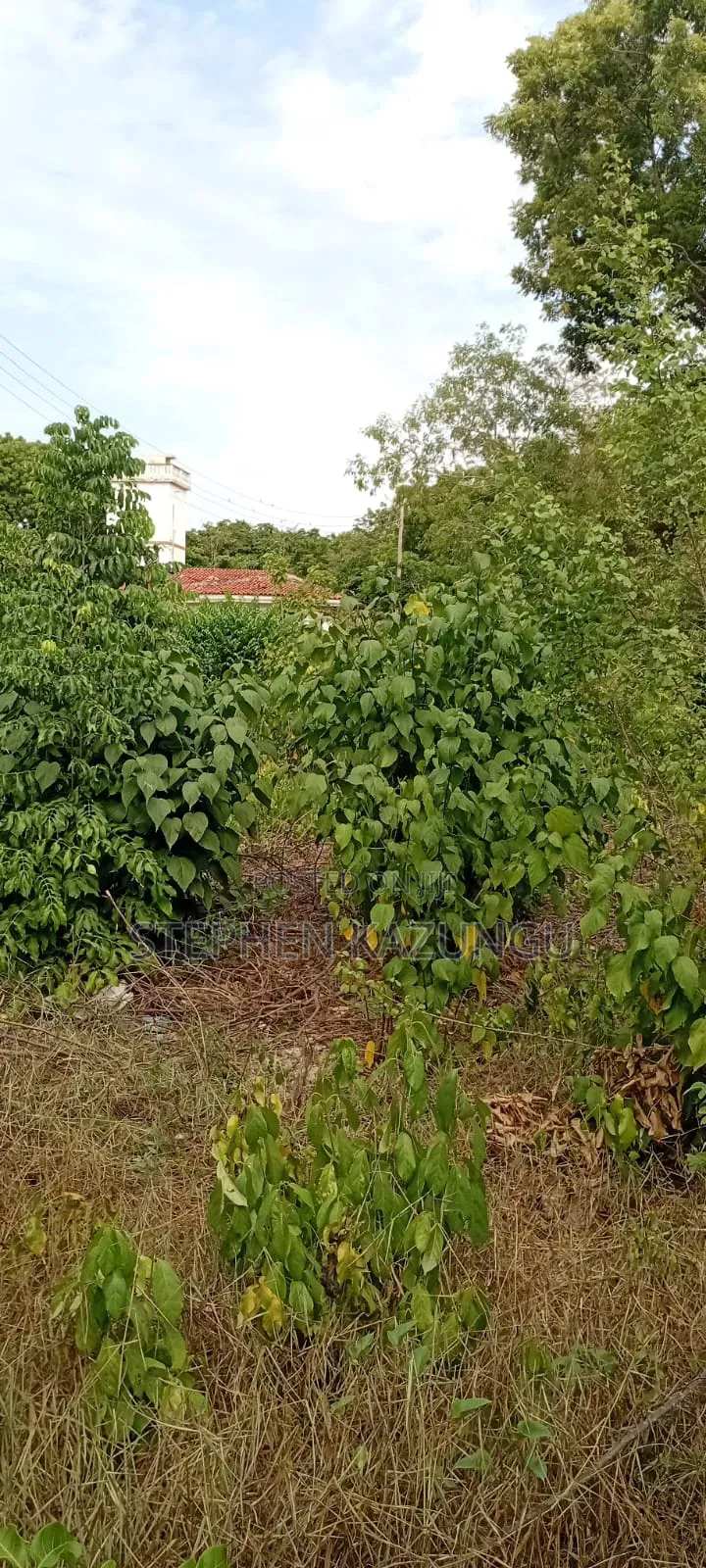 End of 2nd Row 1/2 Acre Plot at Diani Beach Manyata Zone